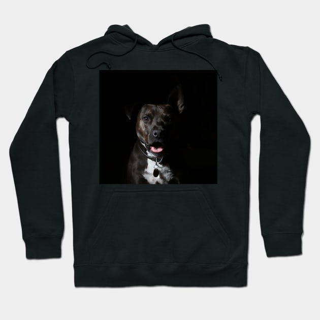 pit bull Hoodie by DonVector